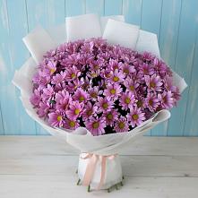 Букет цветов из:  Хризантемы в Дагестанской