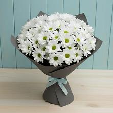 Букет цветов из:  Хризантемы #REPLACE_PRED# Дагестанской