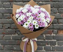 Букет цветов из:  Хризантемы #REPLACE_PRED# Дагестанской