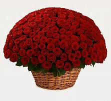 Премиум букет из: Розы #REPLACE_PRED# Дагестанской