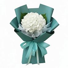 Букет цветов из:  Гортензия #REPLACE_PRED# Дагестанской